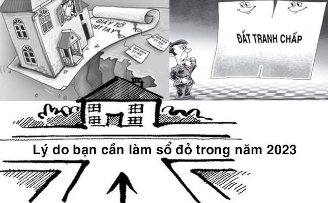 2-ly-do-ban-can-lam-so-do-trong-nam-2023
